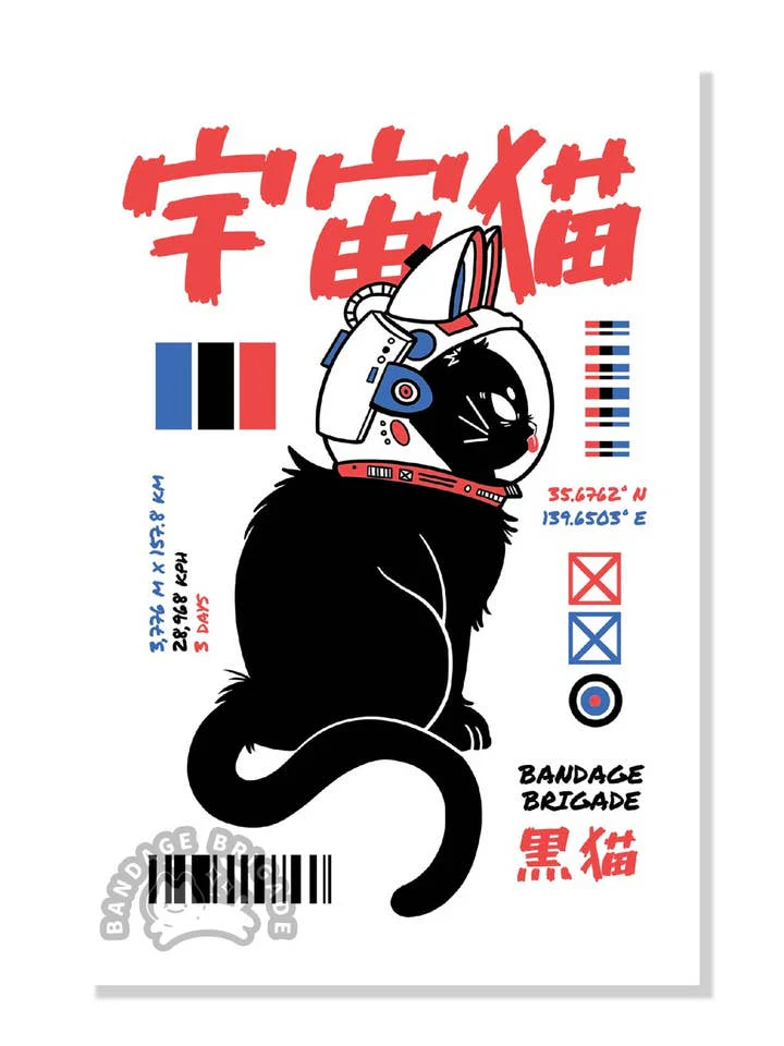 Bandage Brigade: Space Cat Alien Postcard