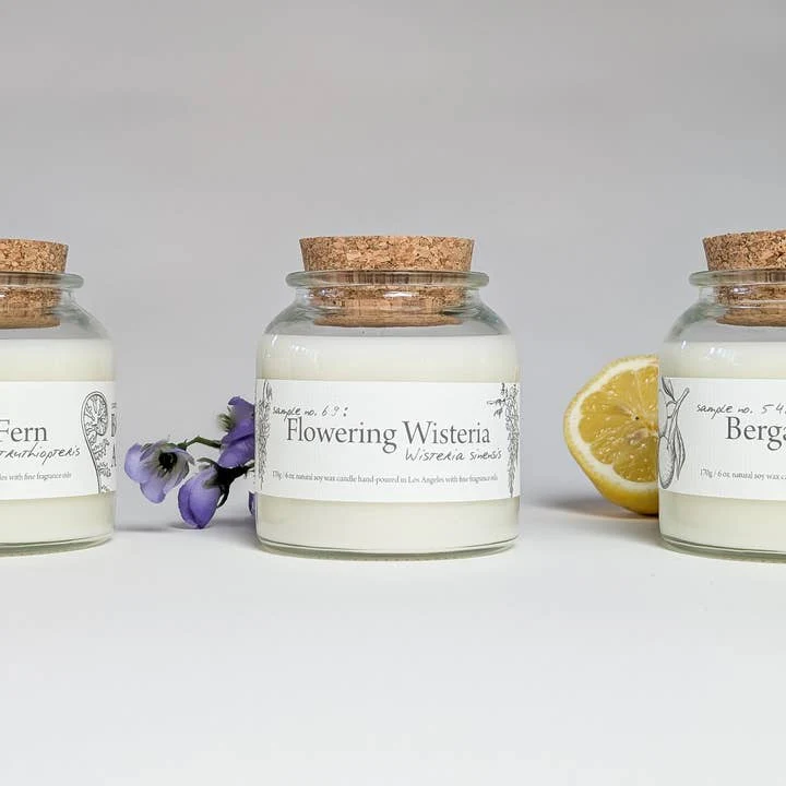 Cantrip Candles: Botany - Bergamot Citron - 6oz - Image 3