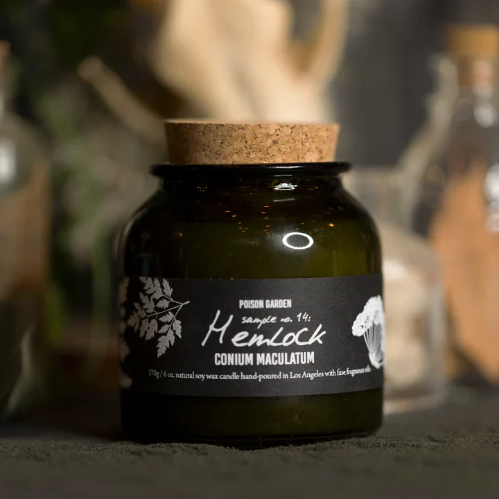 Cantrip Candles: Botany - The Poison Garden† - Hemlock & Bitter Carrotseed - Image 2