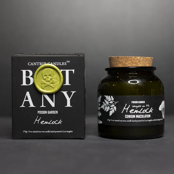 Cantrip Candles: Botany - The Poison Garden† - Hemlock & Bitter Carrotseed - Image 3