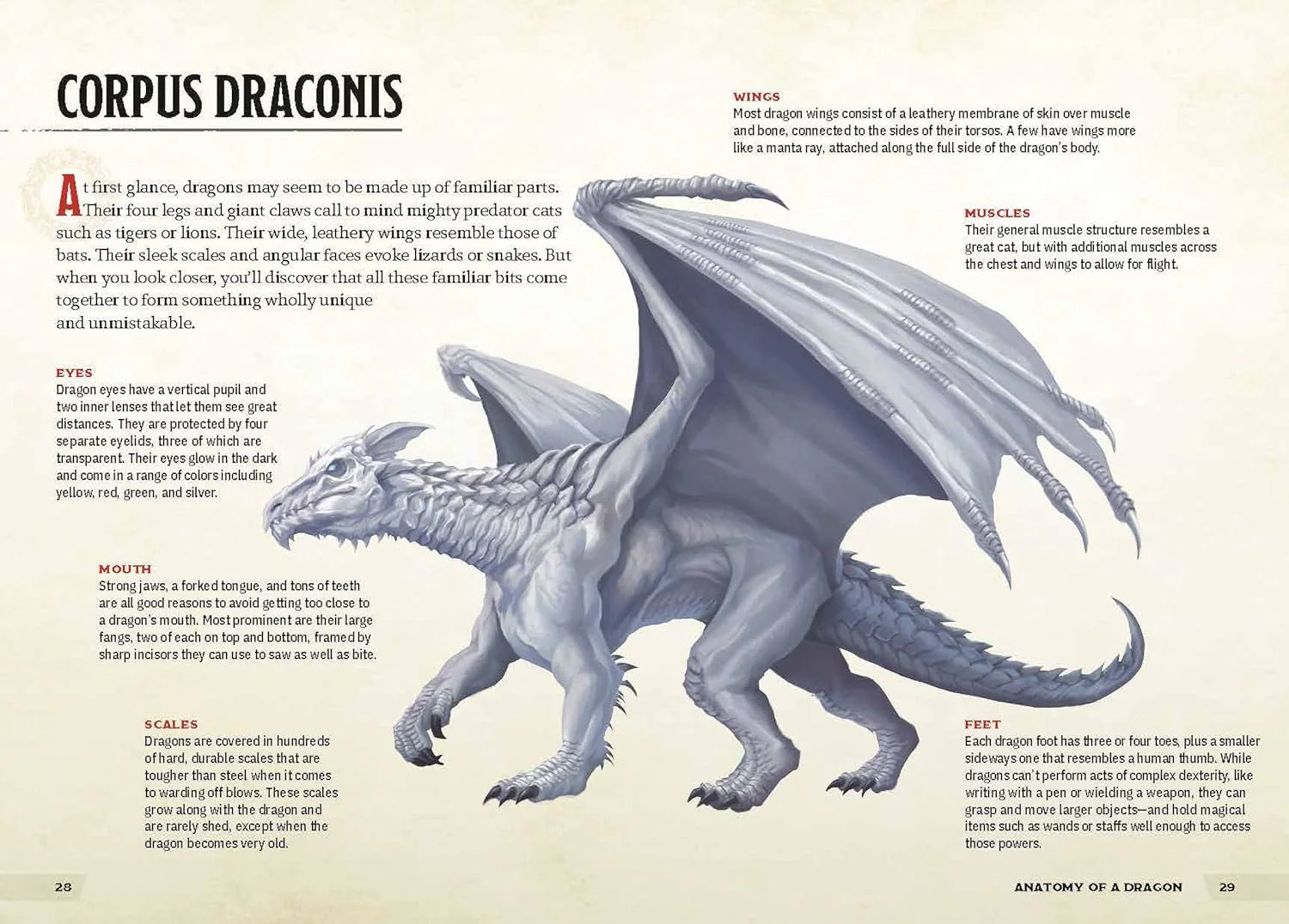 Dungeons & Dragons: A Young Adventurer's Guide - Dragons & Treasures (Hardcover) - Image 4