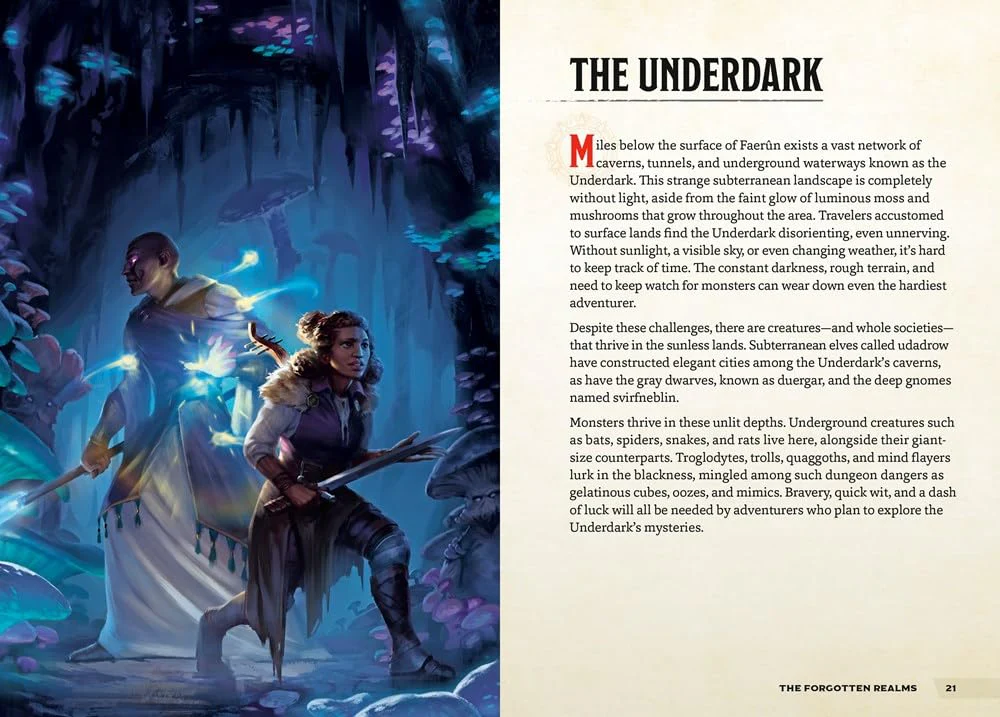 Dungeons & Dragons: A Young Adventurer's Guide - Places & Portals (Hardcover) - Image 2