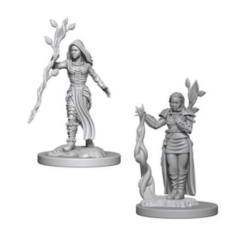 D&D Nolzur's Marvelous Miniatures: Human Druid Female W2 - Unpainted