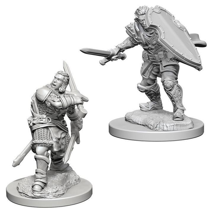 D&D Nolzur's Marvelous Miniatures: Human Male Paladin W3 - Unpainted