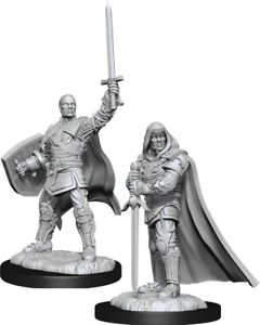 D&D Nolzur's Marvelous Miniatures: Human Paladin Male - Unpainted