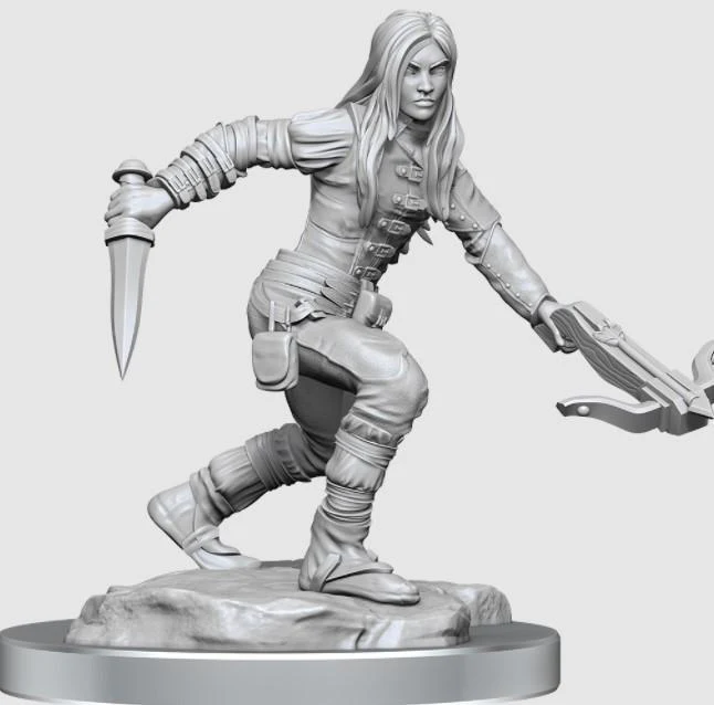 D&D Nolzur's Marvelous Miniatures: Half-Elf Rogue Female W17 - Unpainted