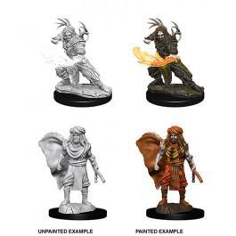 D&D Nolzur's Marvelous Miniatures: Human Druid Male - Unpainted