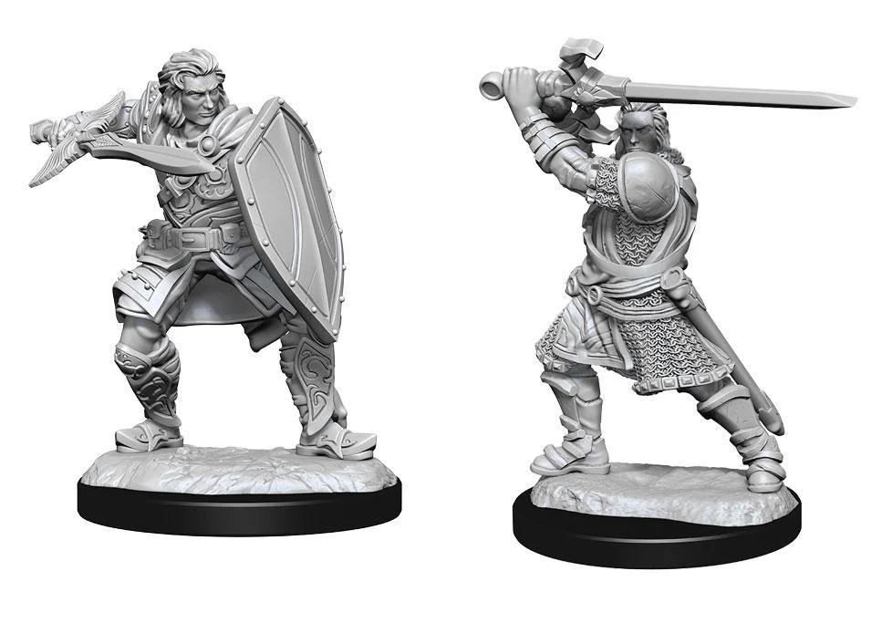 D&D Nolzur's Marvelous Miniatures: Human Paladin Male - Unpainted