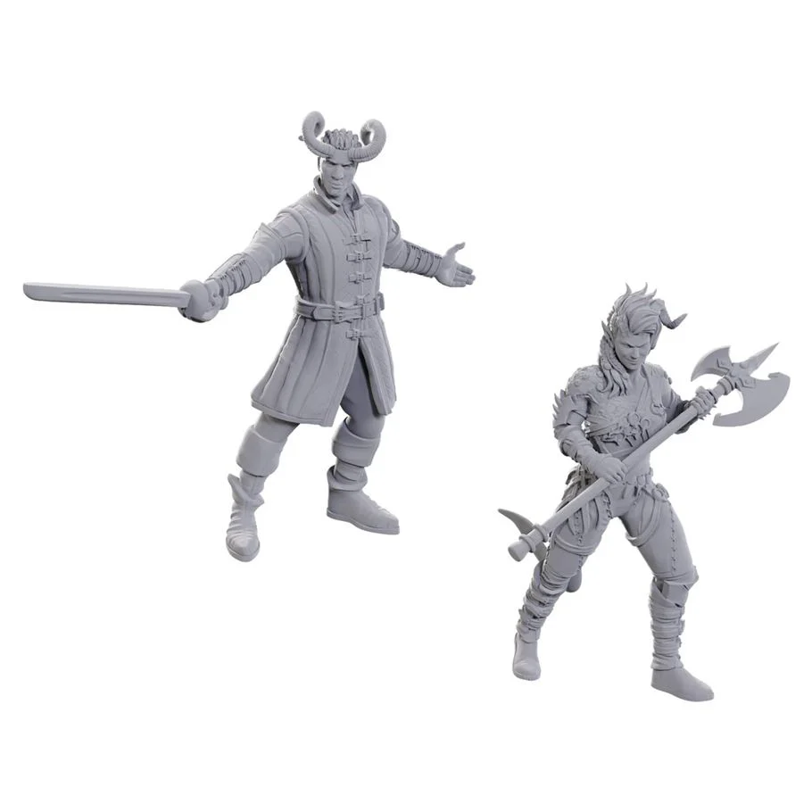 D&D Nolzur's Marvelous Miniatures: Special Edition Baldur's Gate 3 - Wyll and Karlach