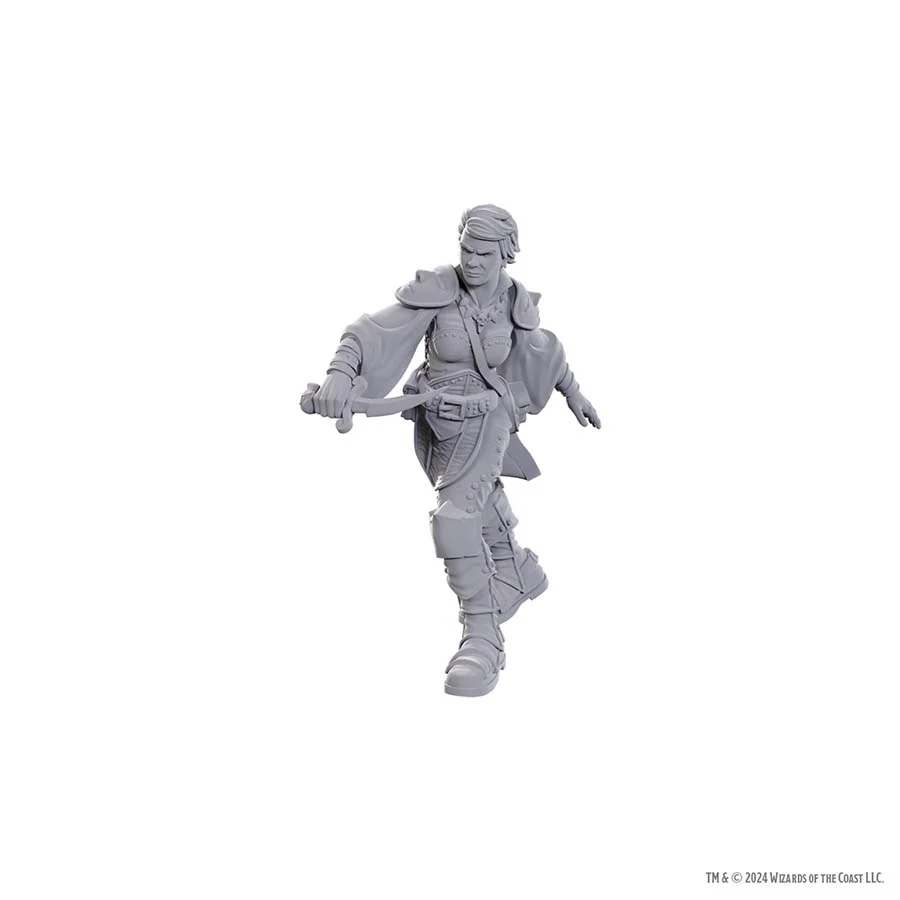 D&D Nolzur's Marvelous Miniatures: Swashbuckler