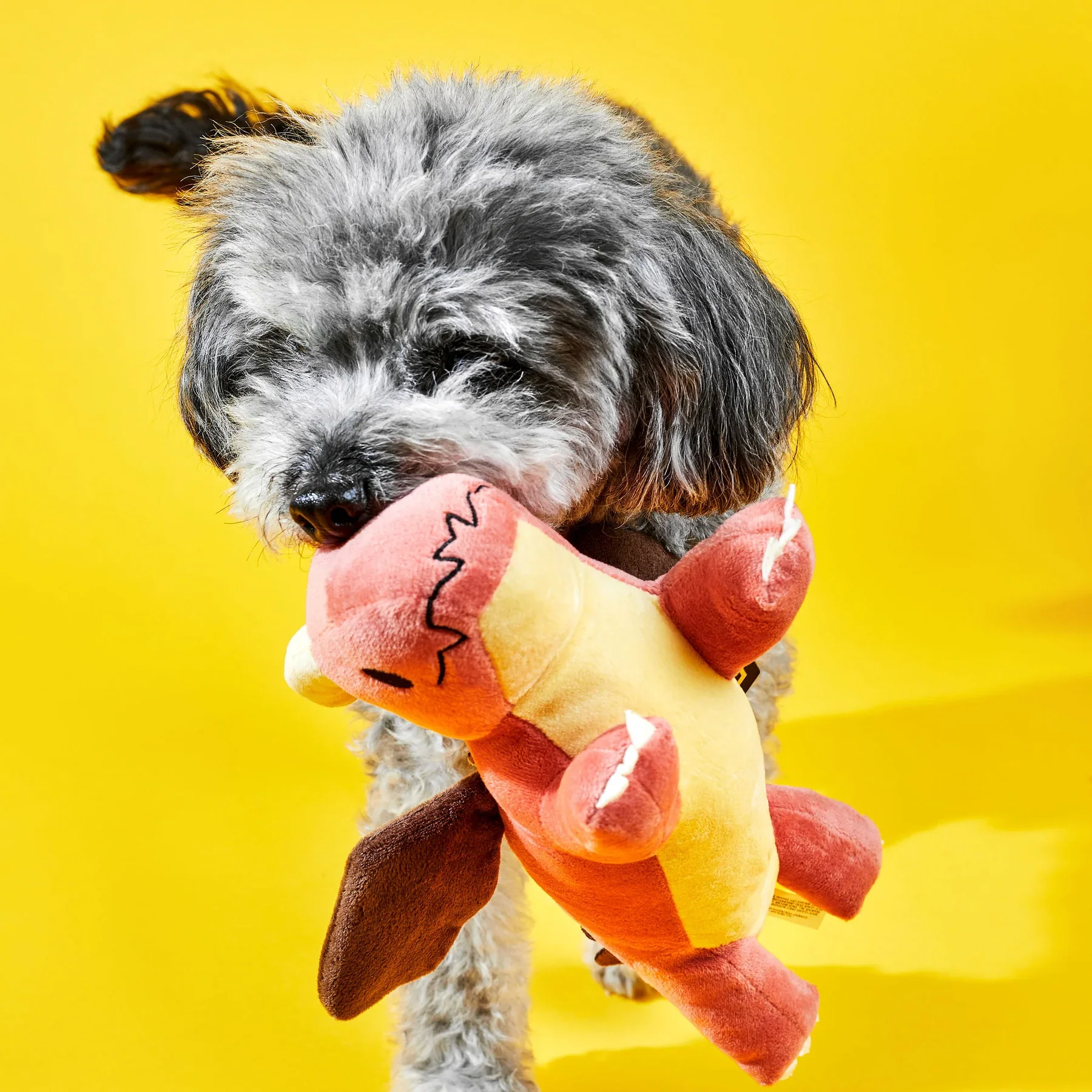 Dispel Dice: Red Dragon Plush Dog Toy with Squeaker - Image 5