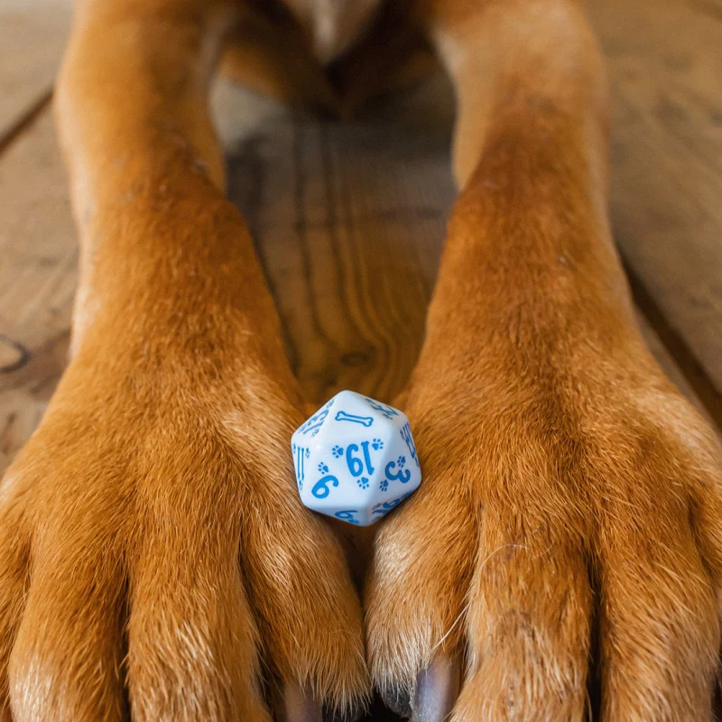Dog Dice Set: Max (7) - Image 7