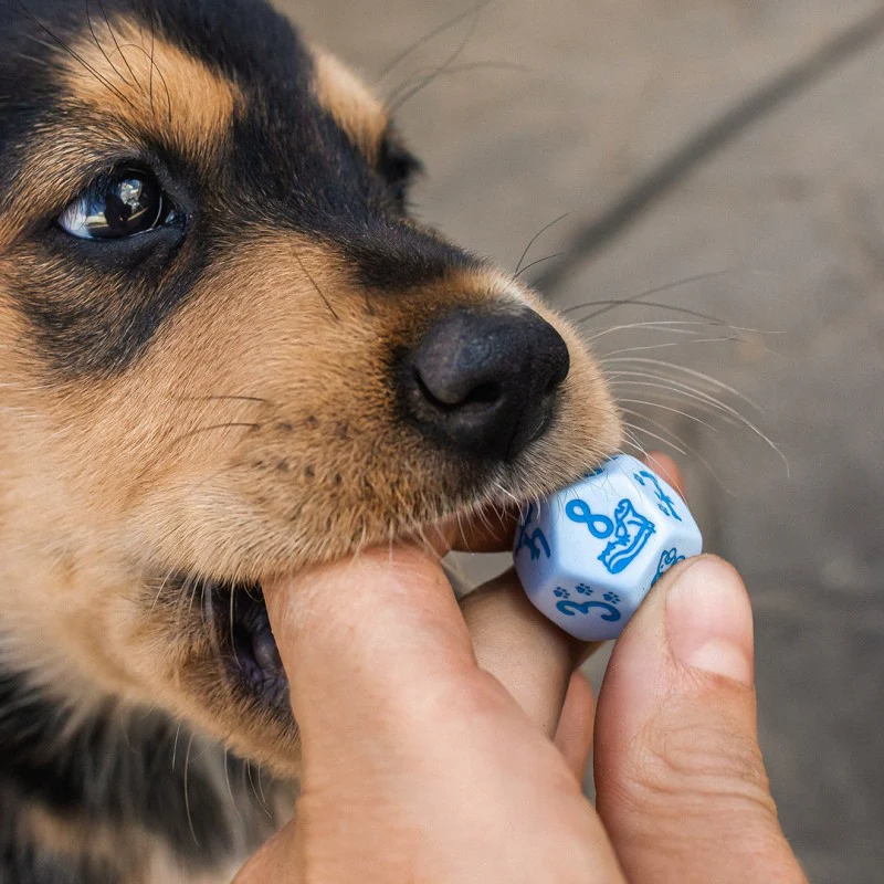 Dog Dice Set: Max (7) - Image 9