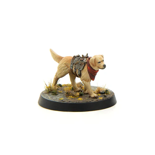 Fallout: Miniatures - Wasteland Survivors Core Set (Plastic) - Image 4