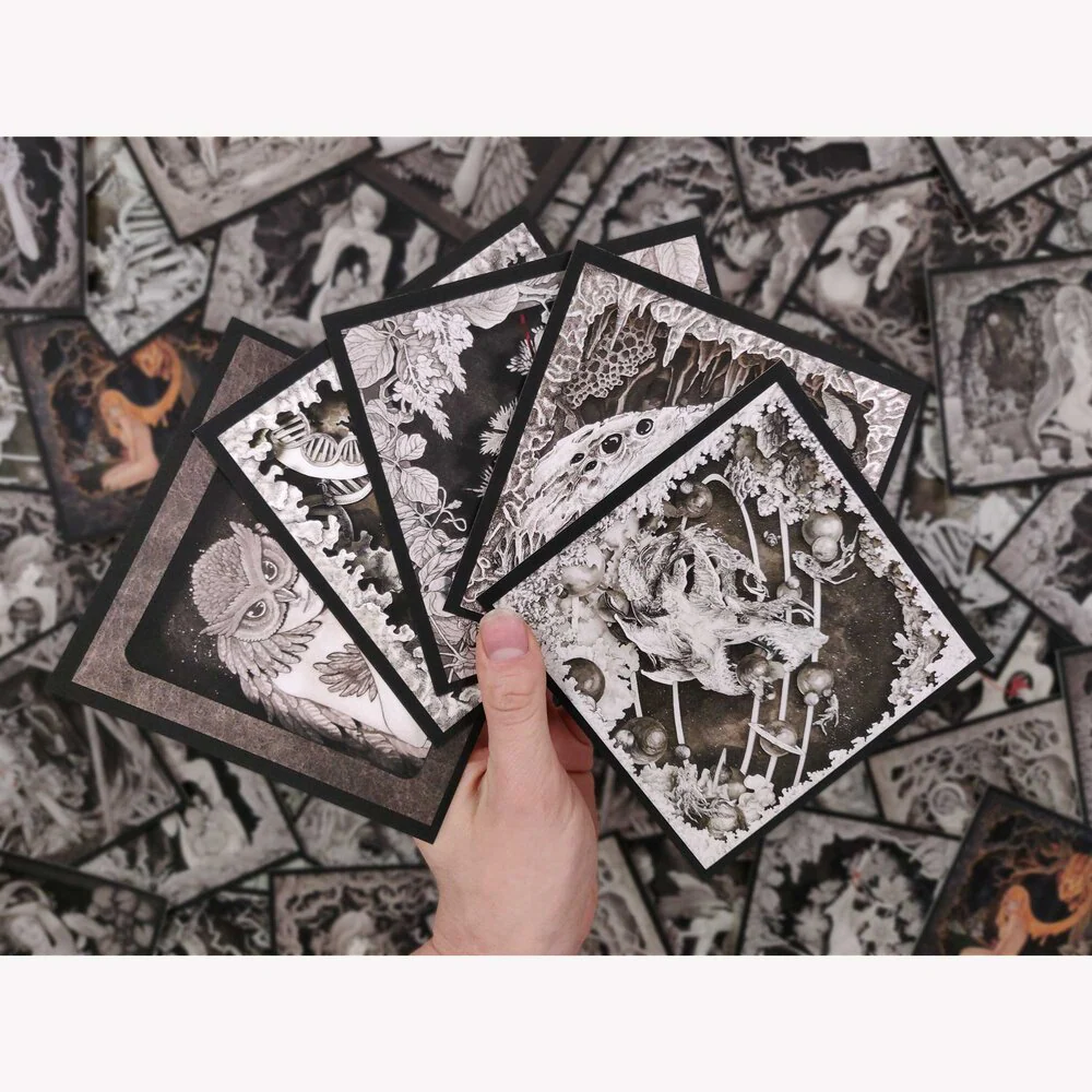Fantastical Beasts - Illustrated Postcard Set