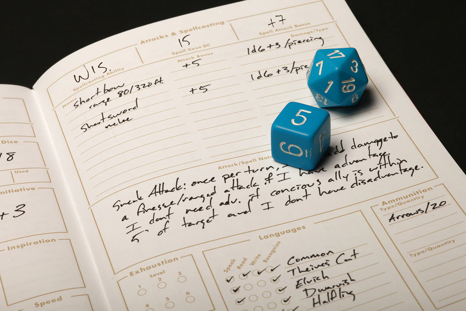 Field Notes: 5E Gaming Journals - Character Journal 2- Pack - Image 5