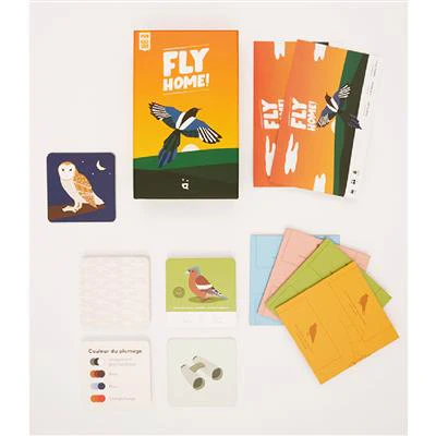 Fly Home! - Image 3