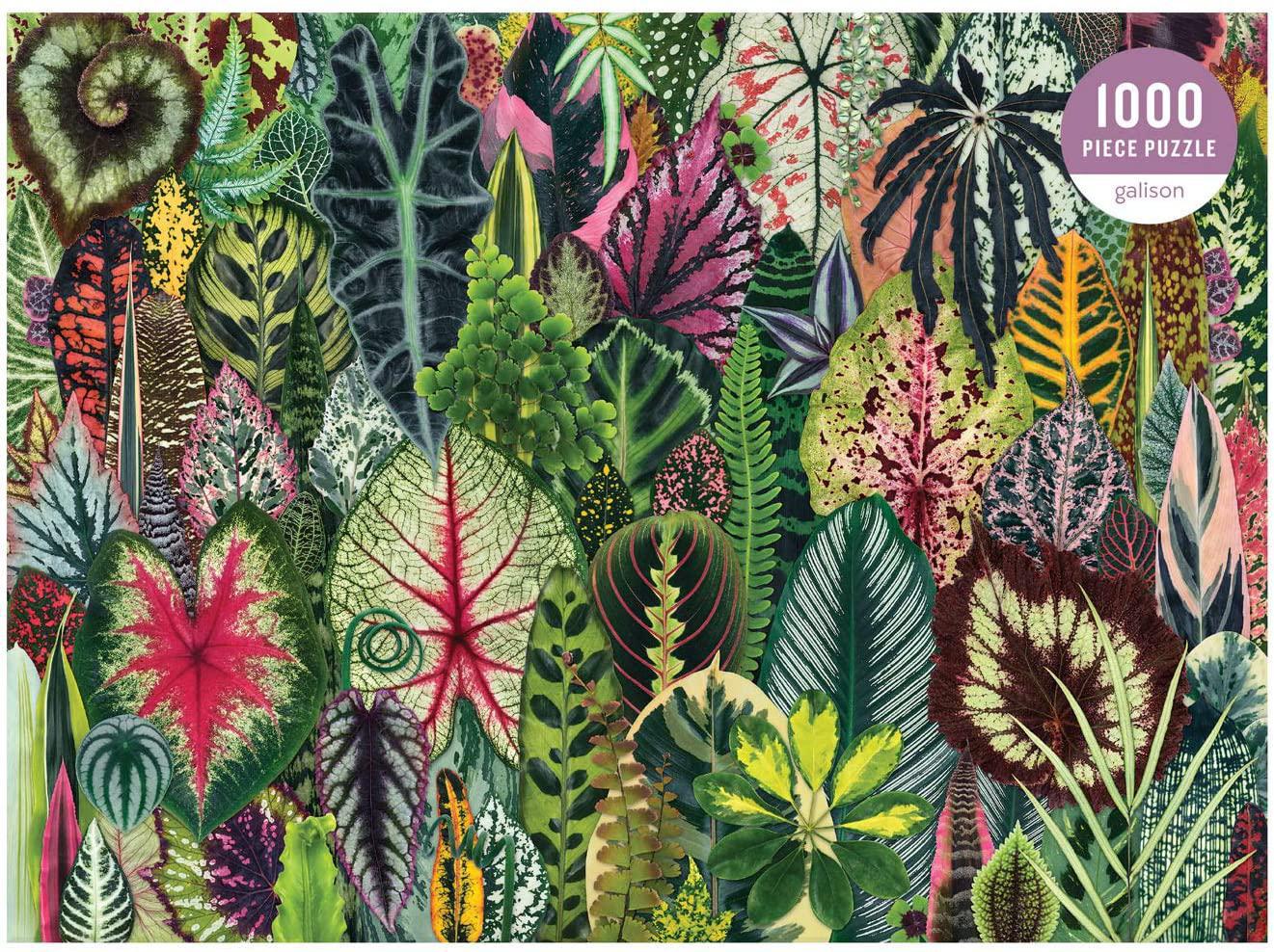 Galison Puzzles: Houseplant Jungle - 1000 Piece Puzzle - Image 2