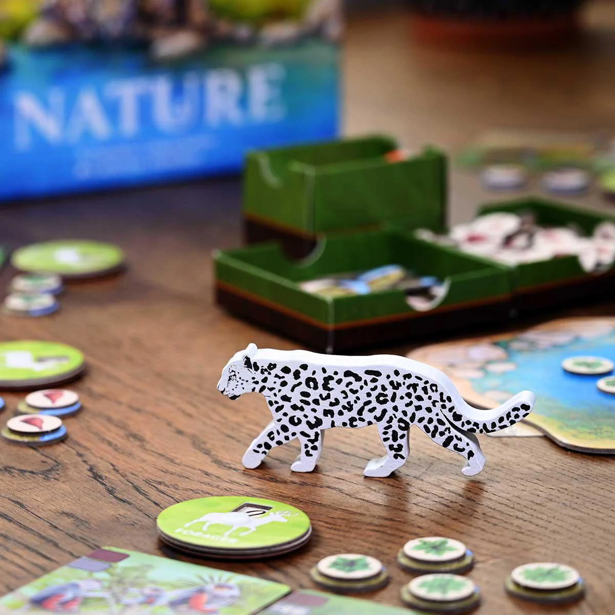 Nature - Image 3