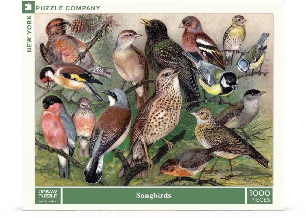 New York Puzzle Company: Songbirds  - 1000 Piece Puzzle - Image 2