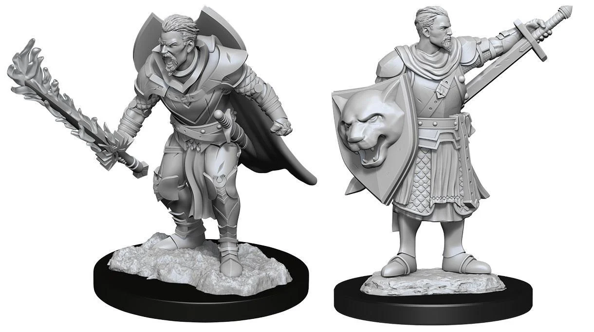 Pathfinder Battles Deep Cuts Miniatures: Human Champion Male - Unpainted