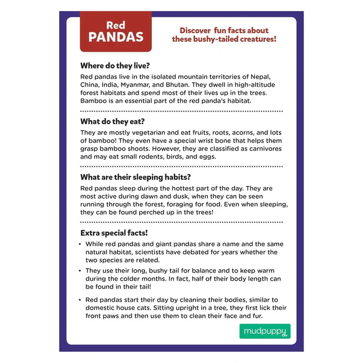 Red Panda Mini-Puzzle - 48 Pieces - Image 2