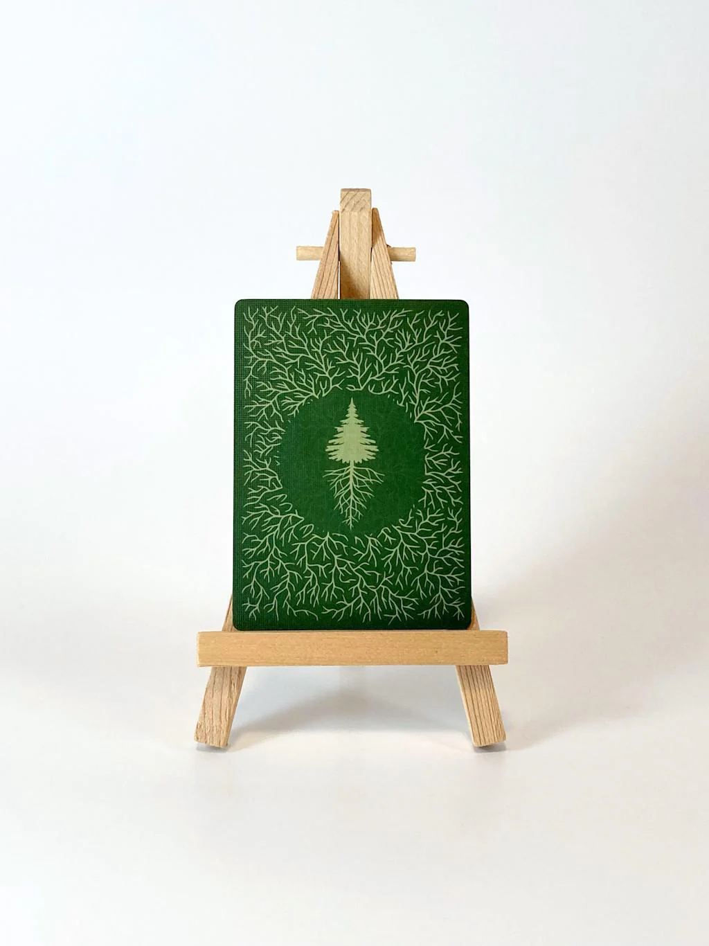 Reforest: Plants of the Pacific Northwest Coast - Image 4