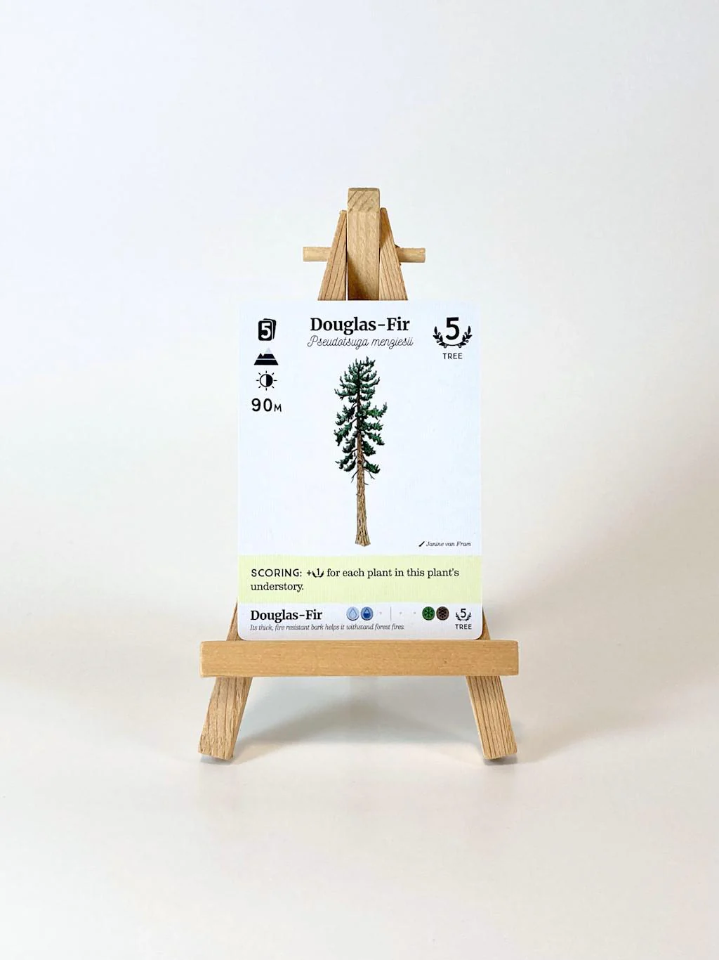 Reforest: Plants of the Pacific Northwest Coast - Image 6