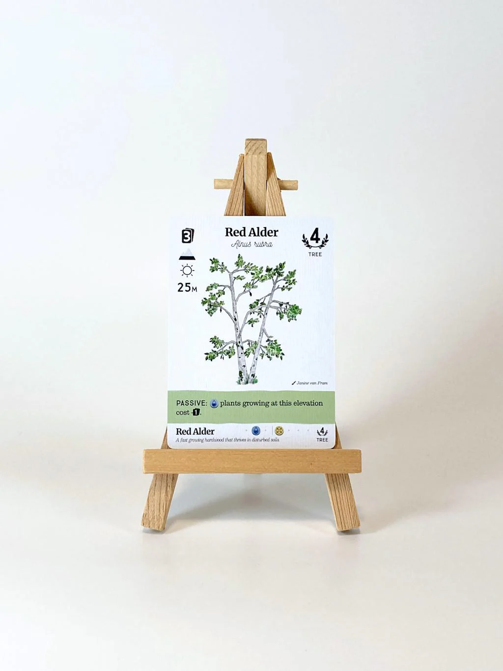 Reforest: Plants of the Pacific Northwest Coast - Image 7