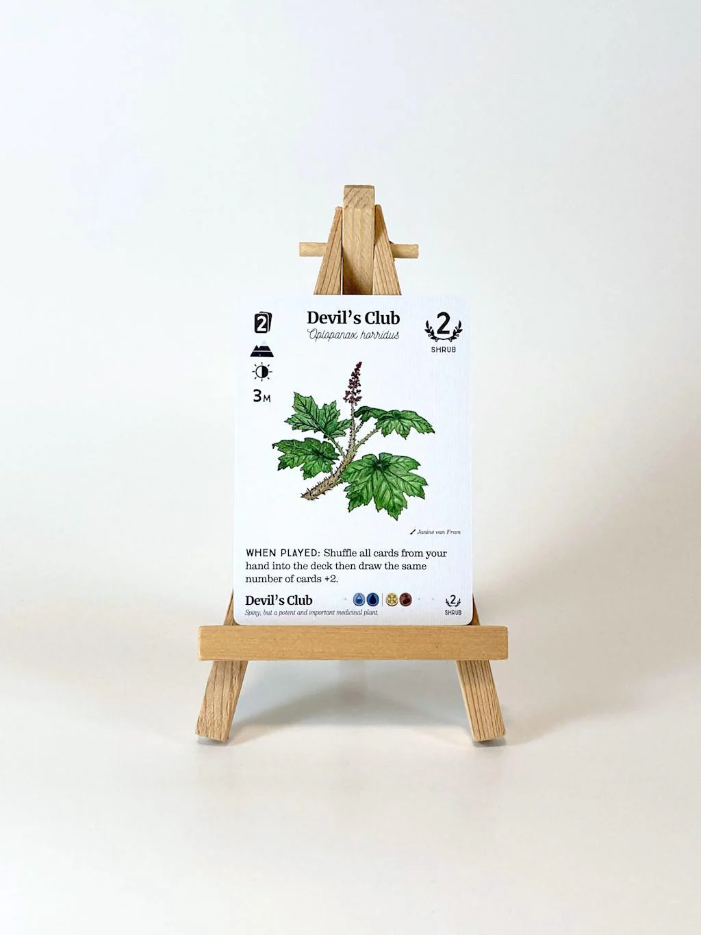 Reforest: Plants of the Pacific Northwest Coast - Image 8