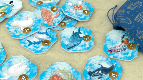Shallow Sea - Image 5