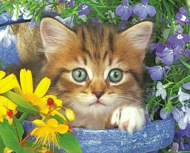 Springbok Puzzles: Garden Helper - 36 Piece Puzzle