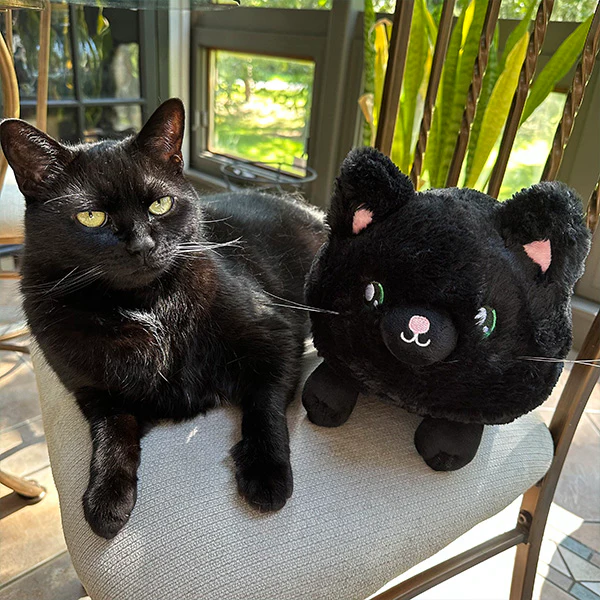 Squishable: Mini Black Kitty - Image 4