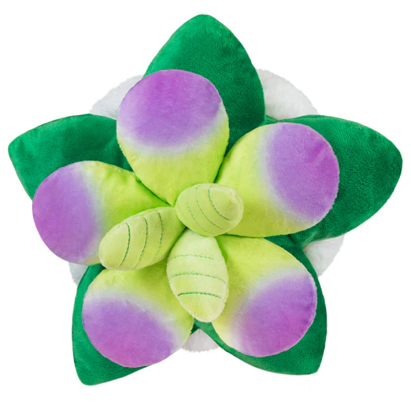 Squishable: Mini Succulent - Image 3