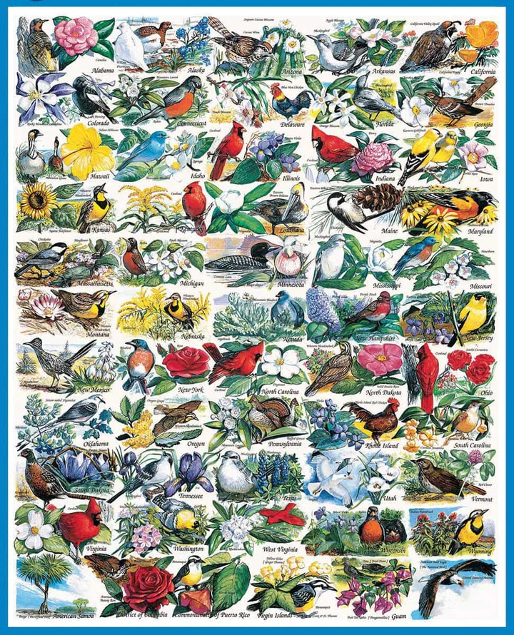 White Mountain Puzzles: State Birds and Flowers - 1000 Piece Puzzle